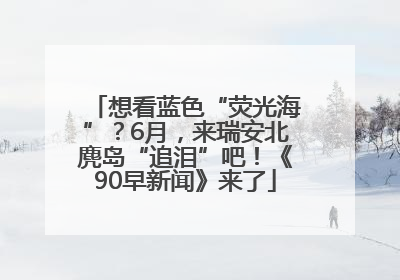 想看蓝色“荧光海”？6月，来瑞安北麂岛“追泪”吧！《90早新闻》来了