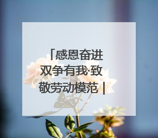感恩奋进 双争有我·致敬劳动模范｜李宁：行走在高空的“电网卫士”