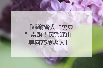感谢警犬“黑豆”带路！民警深山寻回75岁老人