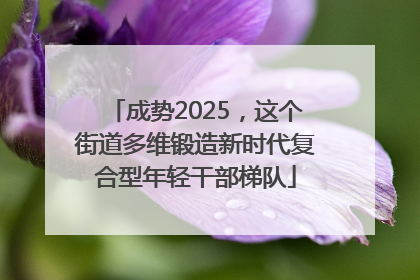 成势2025，这个街道多维锻造新时代复合型年轻干部梯队