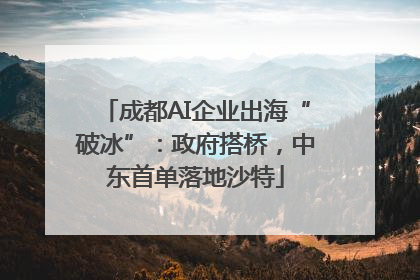 成都AI企业出海“破冰”：政府搭桥，中东首单落地沙特