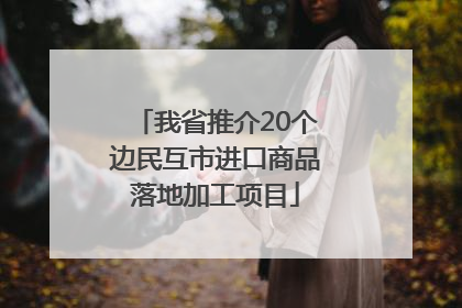 我省推介20个边民互市进口商品落地加工项目