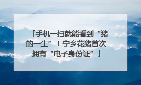 手机一扫就能看到“猪的一生”！宁乡花猪首次拥有“电子身份证”