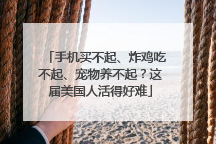 手机买不起、炸鸡吃不起、宠物养不起？这届美国人活得好难