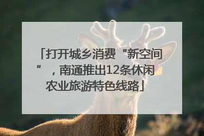 打开城乡消费“新空间”，南通推出12条休闲农业旅游特色线路