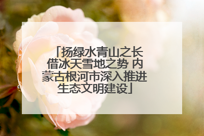 扬绿水青山之长 借冰天雪地之势 内蒙古根河市深入推进生态文明建设