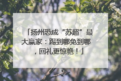 扬州恐成“苏超”最大赢家：踢到哪免到哪，回礼更惊艳！