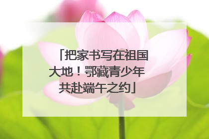 把家书写在祖国大地！鄂藏青少年共赴端午之约