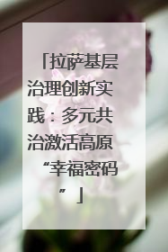 拉萨基层治理创新实践：多元共治激活高原“幸福密码”