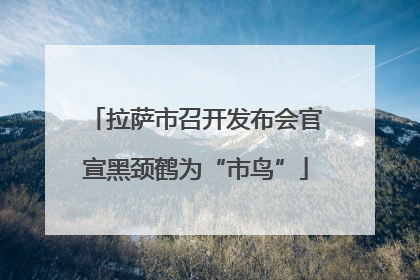 拉萨市召开发布会官宣黑颈鹤为“市鸟”