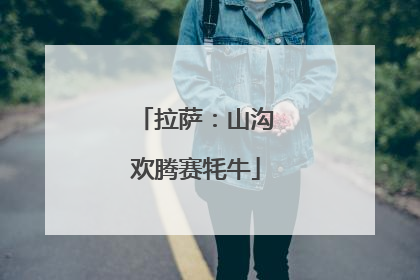 拉萨：山沟欢腾赛牦牛