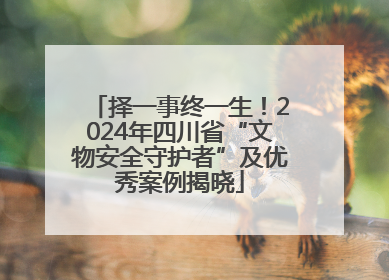 择一事终一生！2024年四川省“文物安全守护者”及优秀案例揭晓