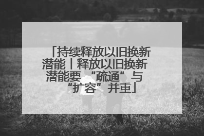 持续释放以旧换新潜能丨释放以旧换新潜能要 “疏通”与“扩容”并重
