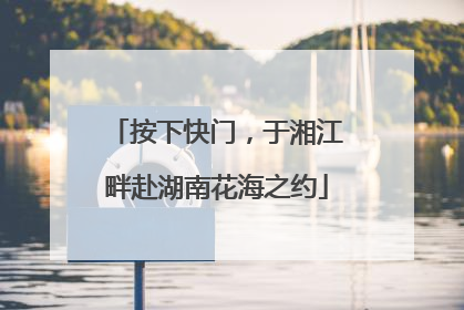 按下快门，于湘江畔赴湖南花海之约