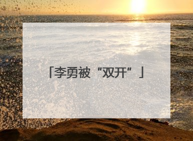 李勇被“双开”