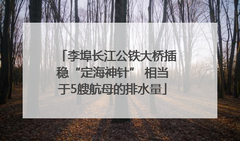 李埠长江公铁大桥插稳“定海神针” 相当于5艘航母的排水量