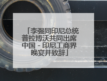 李强同印尼总统普拉博沃共同出席中国－印尼工商界晚宴并致辞