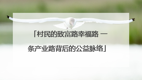 村民的致富路幸福路 一条产业路背后的公益脉络