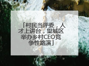 村民当评委，人才上讲台，望城区举办乡村CEO竞争性路演