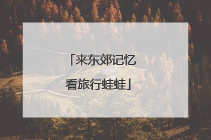 来东郊记忆 看旅行蛙蛙