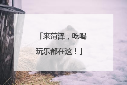 来菏泽，吃喝玩乐都在这！