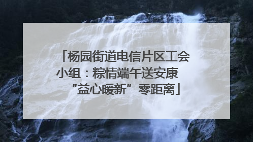 杨园街道电信片区工会小组：粽情端午送安康 “益心暖新”零距离