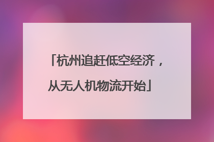 杭州追赶低空经济，从无人机物流开始