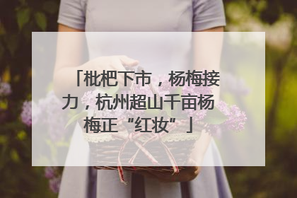 枇杷下市，杨梅接力，杭州超山千亩杨梅正“红妆”