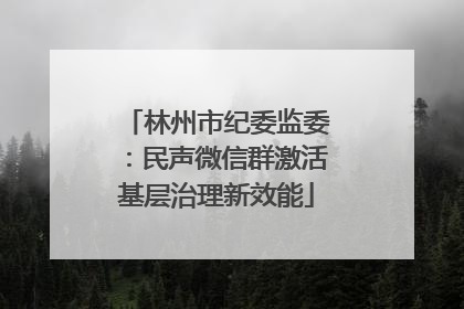 林州市纪委监委：民声微信群激活基层治理新效能