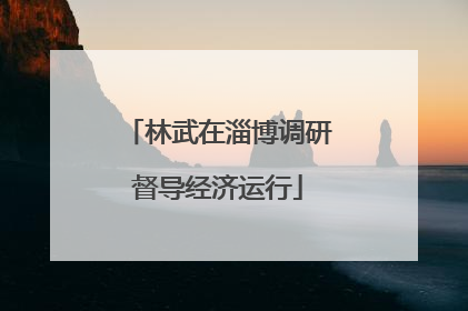 林武在淄博调研督导经济运行