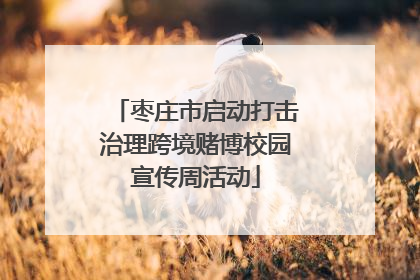 枣庄市启动打击治理跨境赌博校园宣传周活动