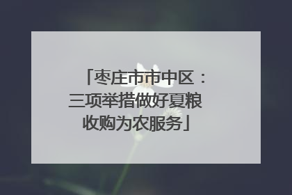 枣庄市市中区：三项举措做好夏粮收购为农服务