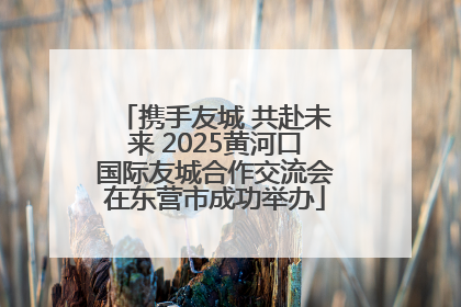 携手友城 共赴未来 2025黄河口国际友城合作交流会在东营市成功举办