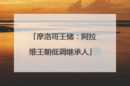 摩洛哥王储：阿拉维王朝低调继承人