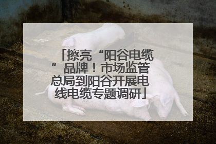 擦亮“阳谷电缆”品牌！市场监管总局到阳谷开展电线电缆专题调研