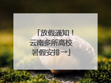 放假通知！云南多所高校暑假安排→