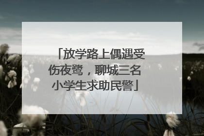 放学路上偶遇受伤夜鹭，聊城三名小学生求助民警