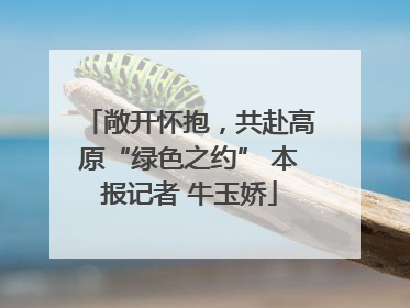 敞开怀抱，共赴高原“绿色之约” 本报记者 牛玉娇