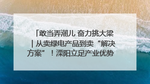 敢当弄潮儿 奋力挑大梁｜从卖绿电产品到卖“解决方案”！溧阳立足产业优势建成五大微电网示范项目