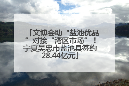 文博会助“盐池优品”对接“湾区市场”！宁夏吴忠市盐池县签约28.44亿元