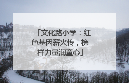 文化路小学：红色基因薪火传，榜样力量润童心