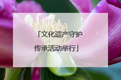 文化遗产守护传承活动举行