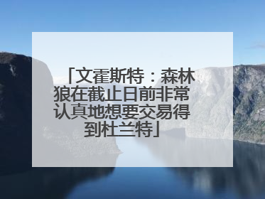 文霍斯特：森林狼在截止日前非常认真地想要交易得到杜兰特