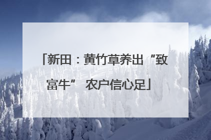 新田：黄竹草养出“致富牛” 农户信心足