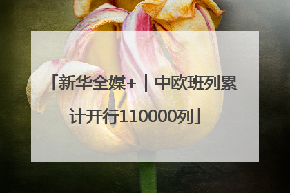 新华全媒+｜中欧班列累计开行110000列