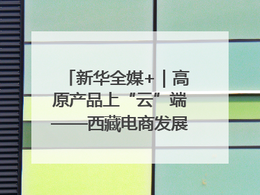新华全媒+｜高原产品上“云”端——西藏电商发展一线观察