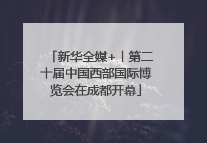 新华全媒+丨第二十届中国西部国际博览会在成都开幕