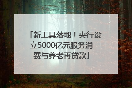 新工具落地！央行设立5000亿元服务消费与养老再贷款