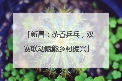 新昌：茶香乒乓，双赛联动赋能乡村振兴