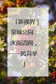 新视界｜泉城公园：水面清圆，一一风荷举